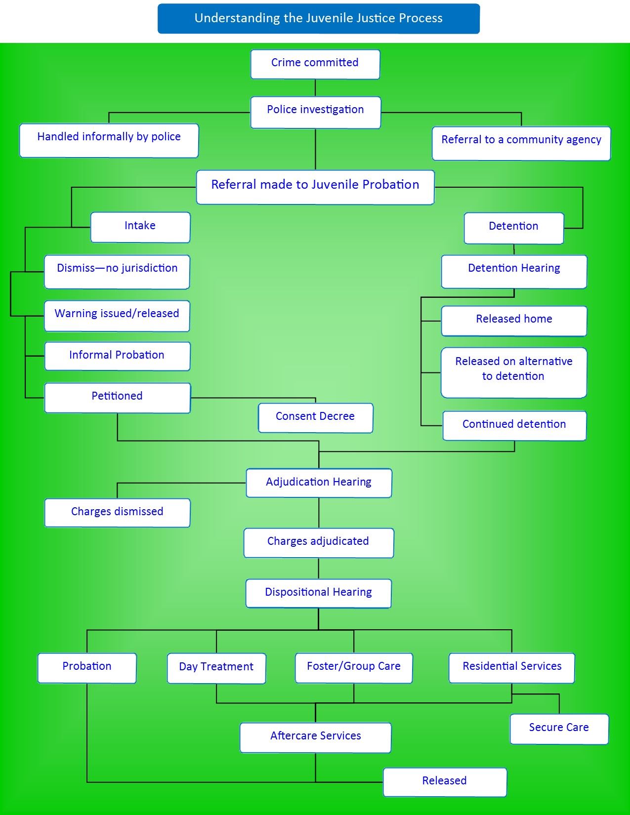 Juvenile Justice Process
